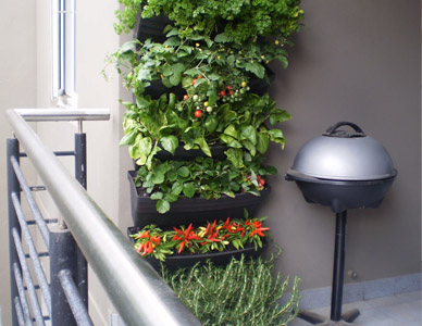 vertical balcony garden